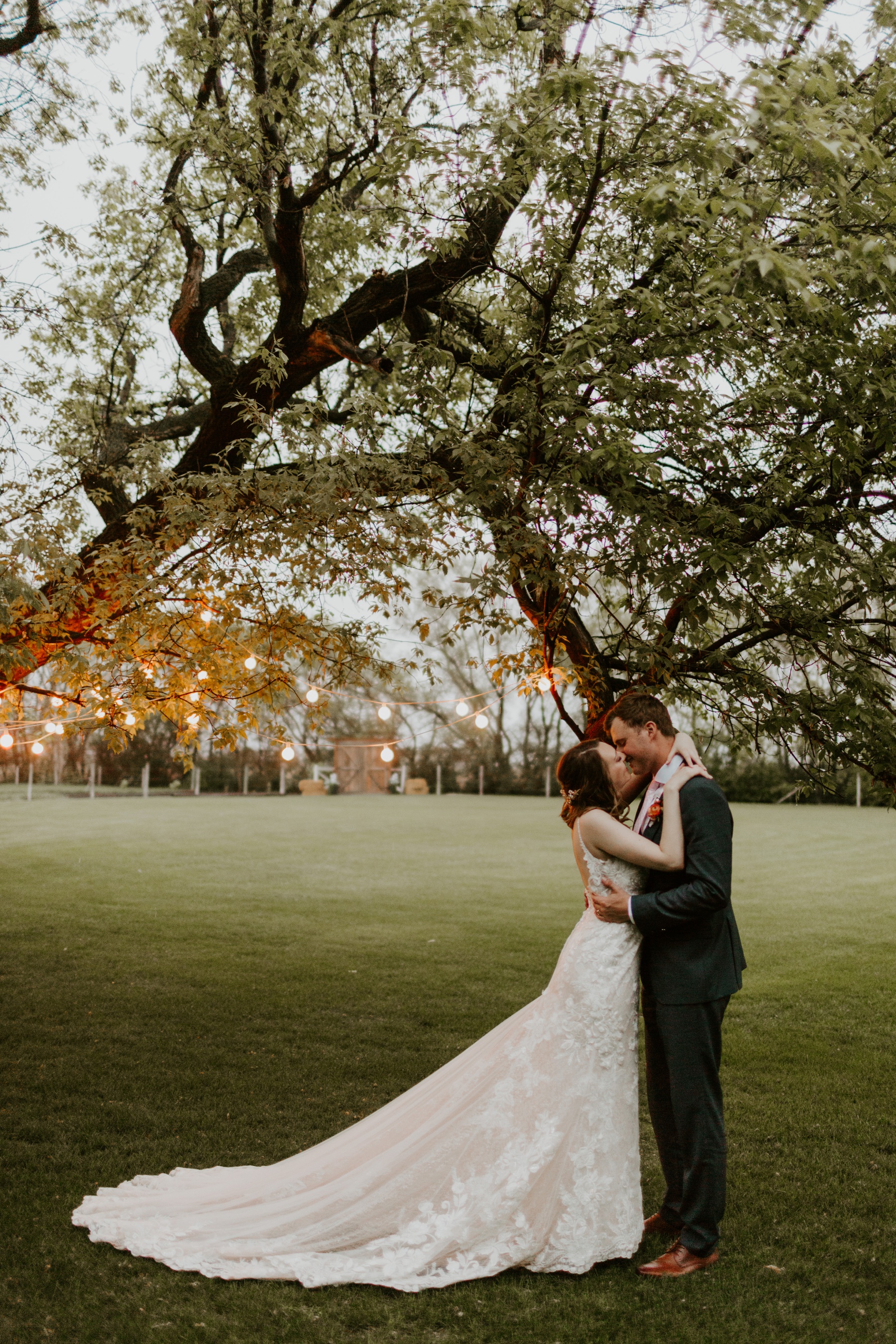 Bride and groom under tree at Ashgrove Acres