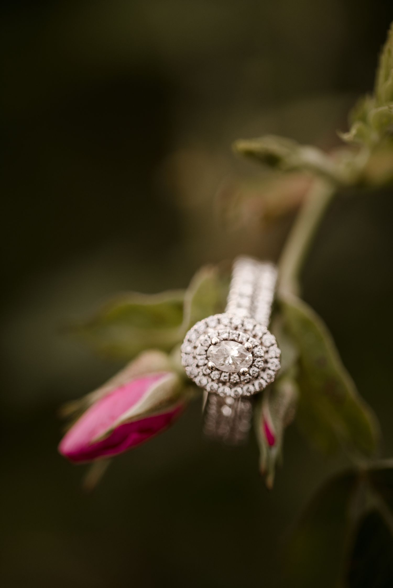 Oval halo engagement ring and wedding band detail shot. Images taken by Vanessa Renae Photography, a winnipeg engagement photographer