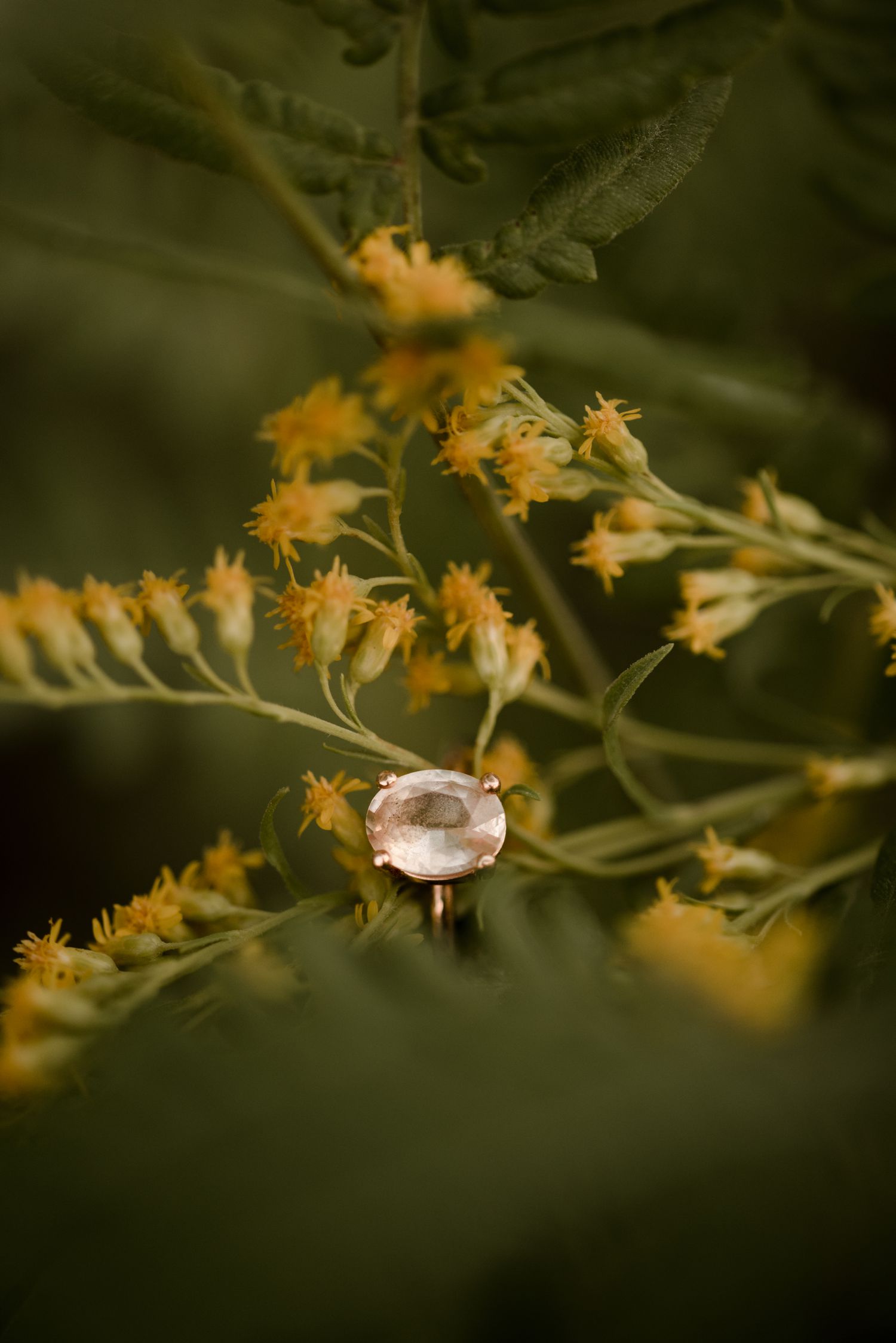 Summer honeymoon session in Sandilands, photographed by Vanessa Renae Photography, a Calgary engagement photographer, available across canada. Solitaire pink quartz oval engagement ring.