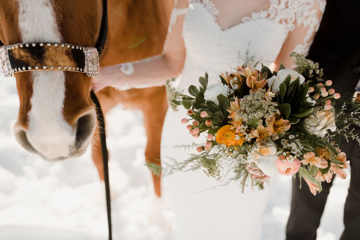 Canadian winter wedding styled shoot at a horse farm. Photographed by Vanessa Renae Photography, a Canadian and winnipeg wedding photographer.