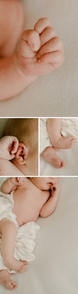 Winnipeg Newborn Photographer, Vanessa Renae Photography, lifestyle maternity, newborn and family photographer based in winnipeg, MB. Nothing Fits But dress